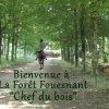 (091) Concours Attelage La F.Fouesnant 7-8 mai 2018