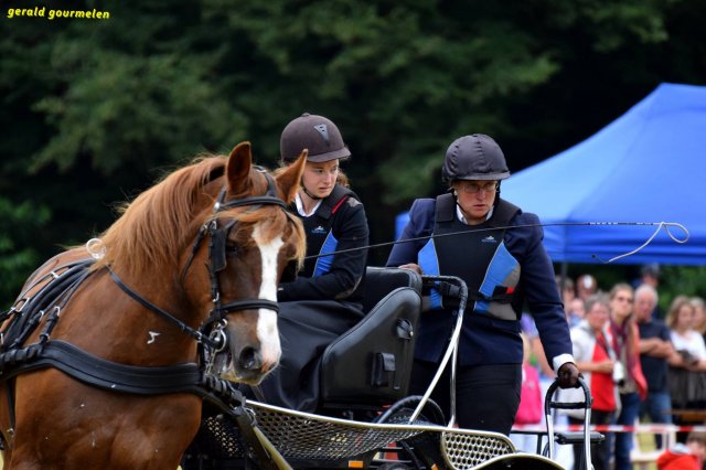 074 Week-end du cheval-Concours Attelage à La Forêt Fouesnant 9-10 juillet 2016