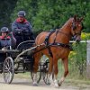 074 Week-end du cheval-Concours Attelage à La Forêt Fouesnant 9-10 juillet 2016