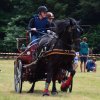 074 Week-end du cheval-Concours Attelage à La Forêt Fouesnant 9-10 juillet 2016