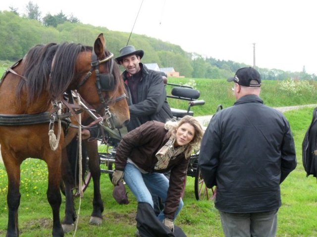 p1140704800x600_20140524_1708401822