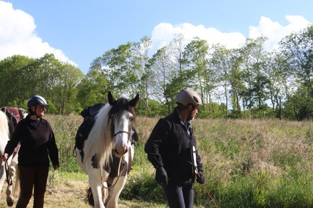 img_1372_copier_20140601_1812749078